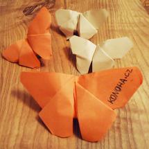 CleoUchiha-Mise-Origami.jpg