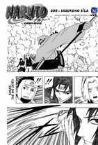 chapter308_s01.gif