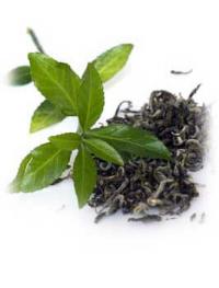 green_tea_leaves-eat-green-tea.jpg