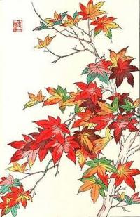 momiji.JPG