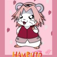 Hamruto - Sakura