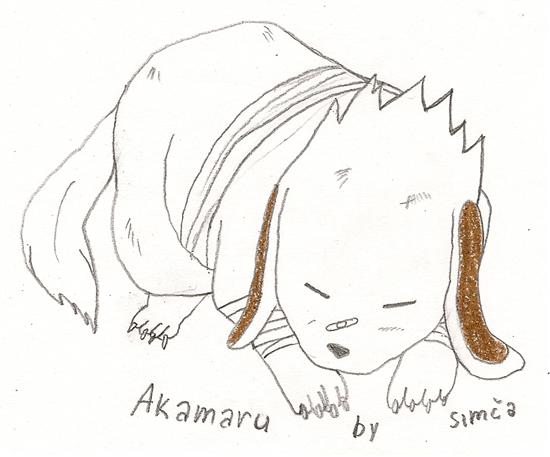 My FanArt - Akamaru