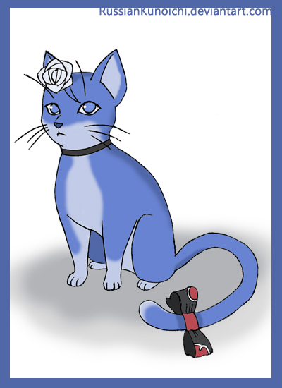 konan - cat