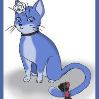 konan - cat