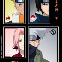 Team 7 tribute...