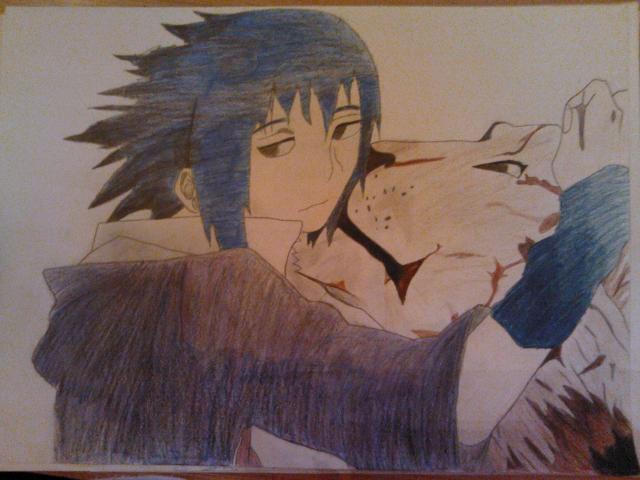 Sasuke a cica