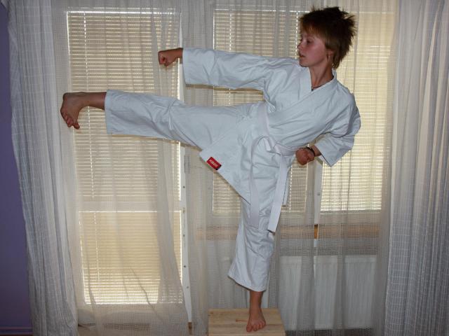 Trénink Karate (taijutsu)