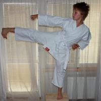 Trénink Karate (taijutsu)