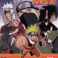 Naruto calendar 2008