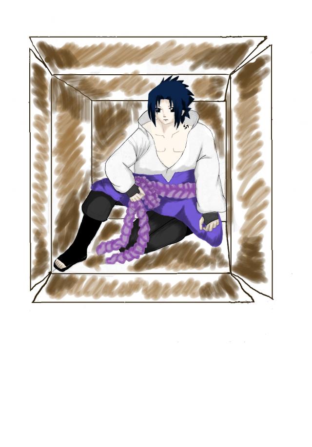 *Sasuke v krabici :)*