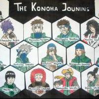 The Konoha Jounins
