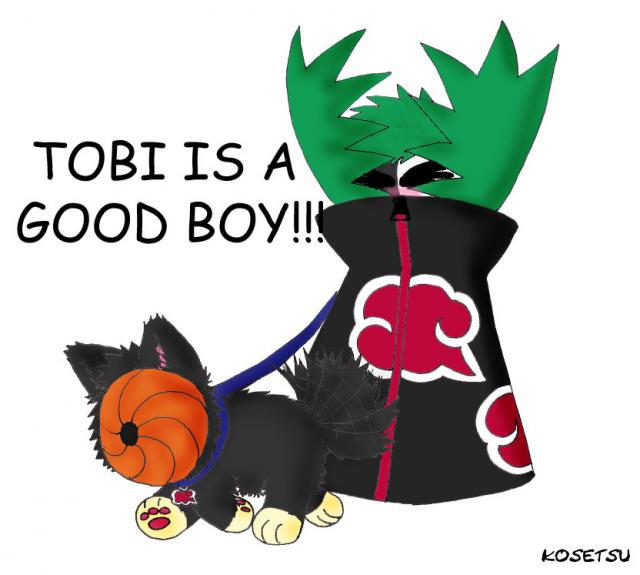 Tobi is a good boy