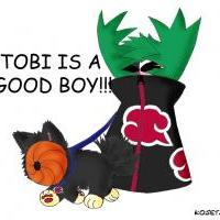 Tobi is a good boy