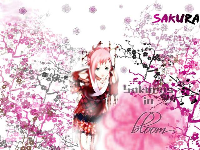 Sakura