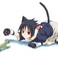 Kawaii Kitten Sasuke