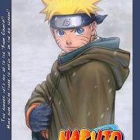 Manga 214 - Naruto v plášti