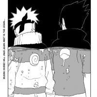 Sasuke a Naruto