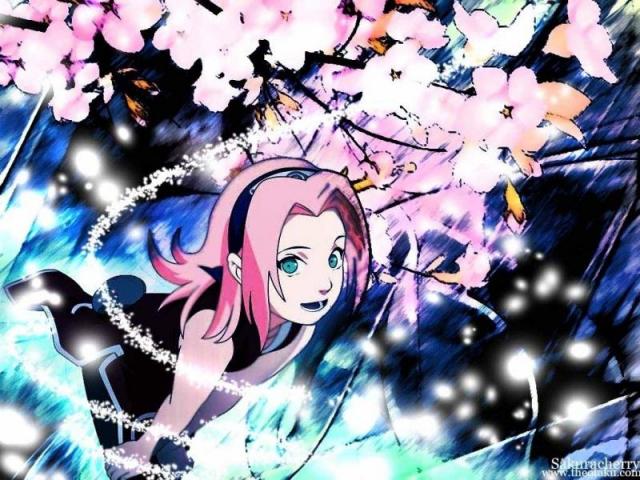 Happy Sakura