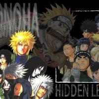 Hidden leaf