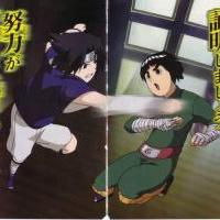 Sasuke vs Lee