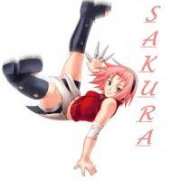 Shippuuden Sakura