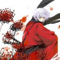 Kakashi Sensei in Red Kimono