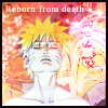 Naruto - reborn
