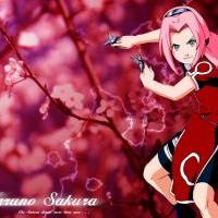 Sakura-chan 7