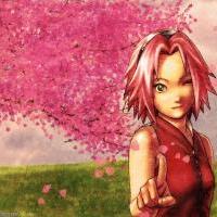 Sakura-chan 9