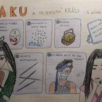 Proč je Haku pěknější než Sakura?