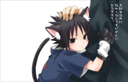 neko sasuke