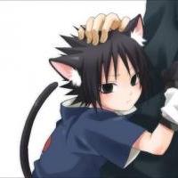 neko sasuke