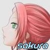Sakura avatar moje tvorba