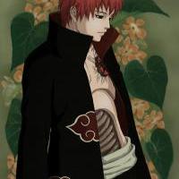 sasori.jpg