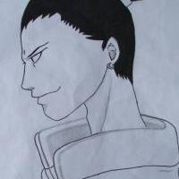 SHIKAMARU-2