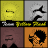 Team Yellow Flash