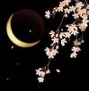 Obrázek uživatele Tsukihana 月の花